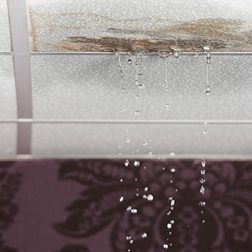 Roof Leaks