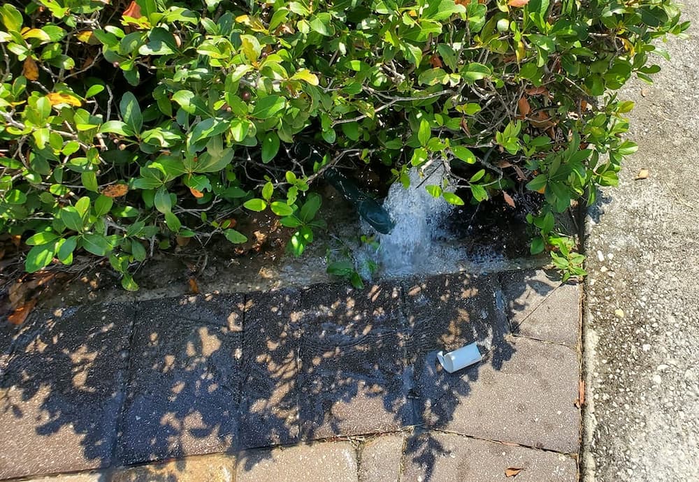 Irrigation Leaks
