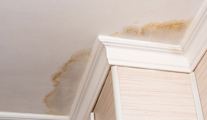 Structural Leaks