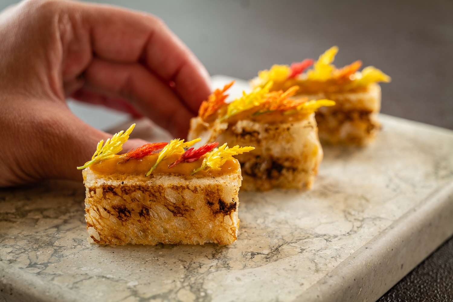 horsdoeuvres-yann_nury-7