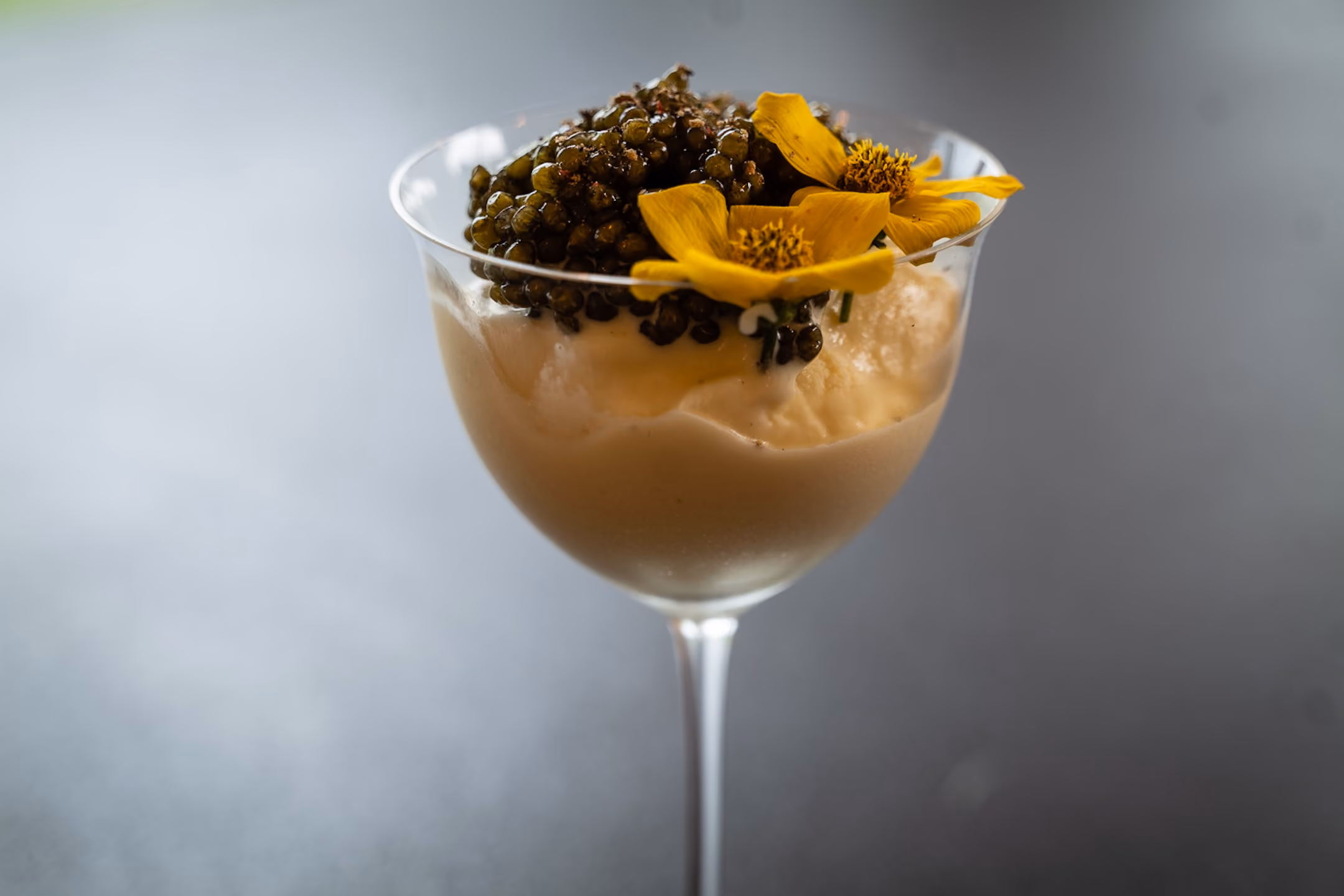 Coupe glass dessert topped with caviar and yellow flowers