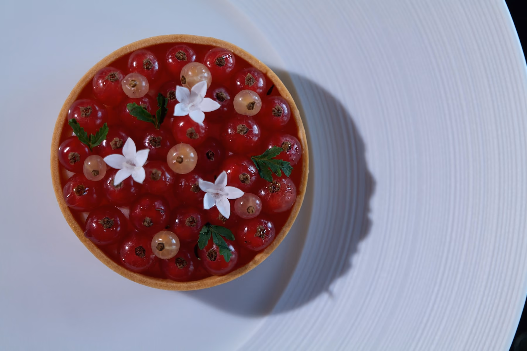 Overhead red currant tart topped with white flowers