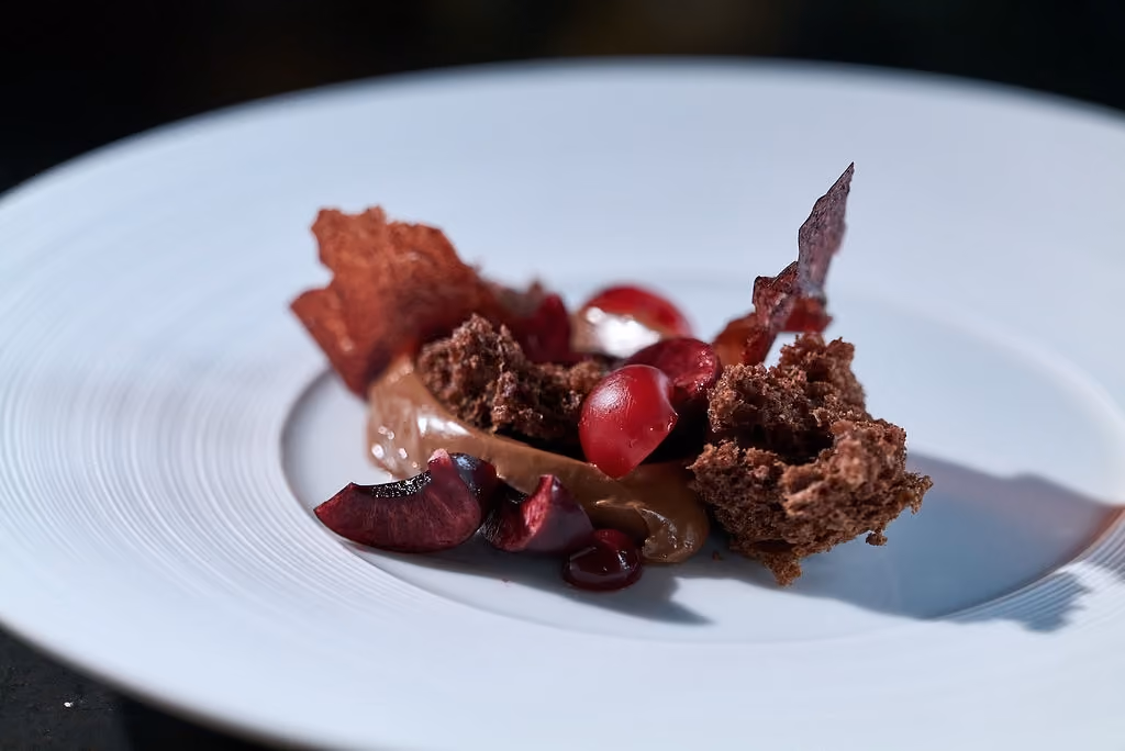 Chocolate dessert with fresh cherries and chocolate tuile shards