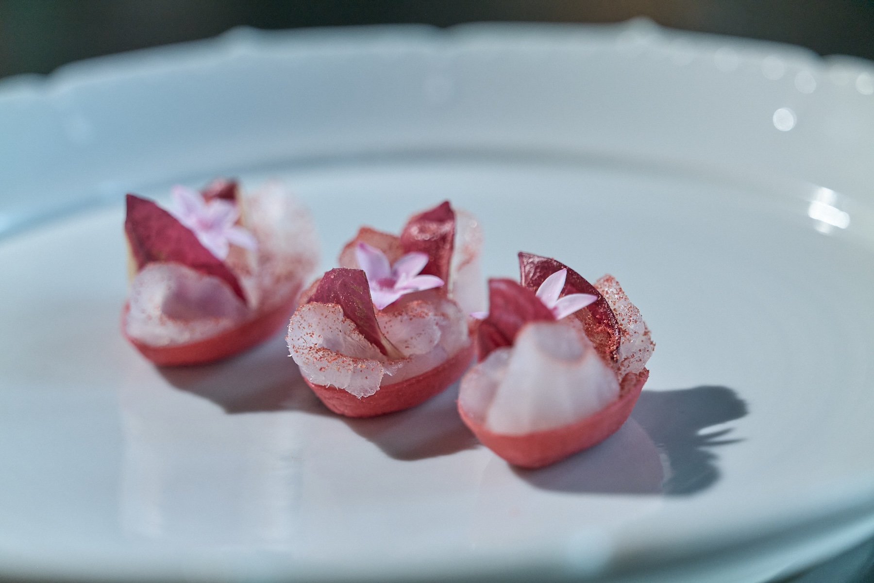 horsdoeuvres-yann_nury-74