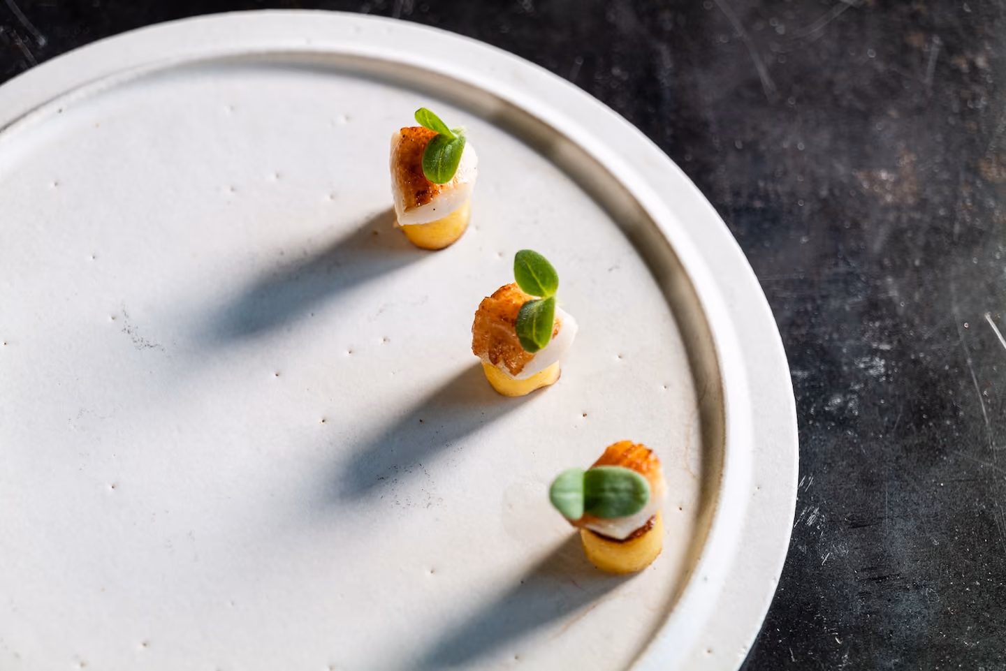 Row of seared scallop bites on polenta garnished with a basil leaf