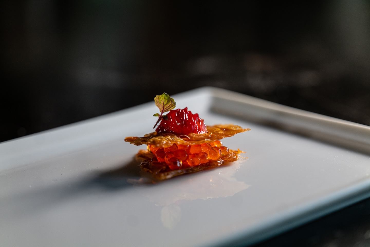 horsdoeuvres-yann_nury-98