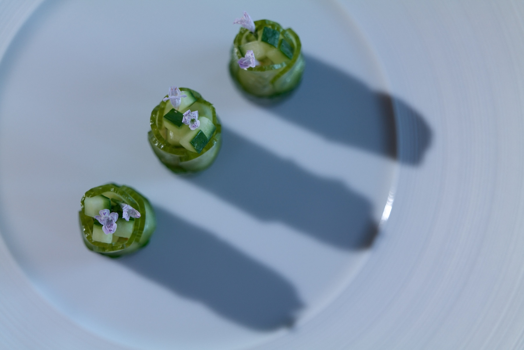 horsdoeuvres-yann_nury-100