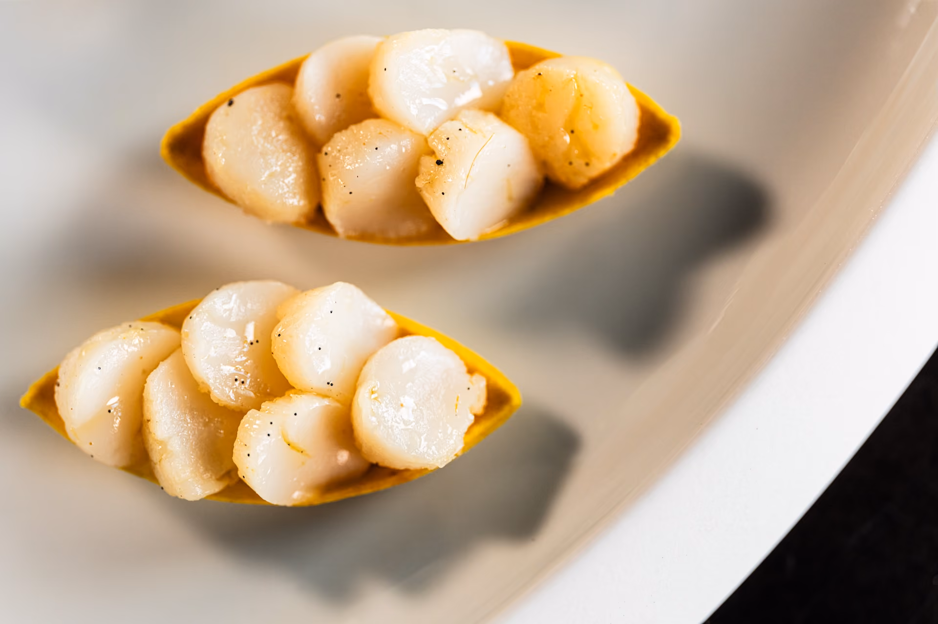 Pair of seared scallops served in golden tuile boats