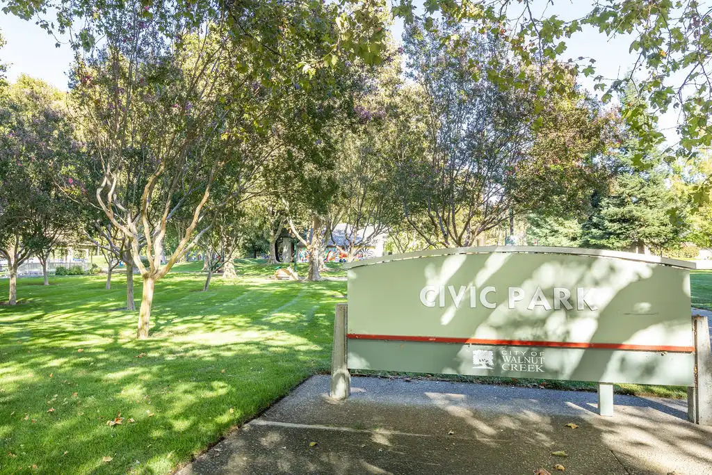 Green grass park