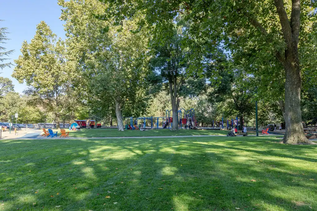 Green grass park