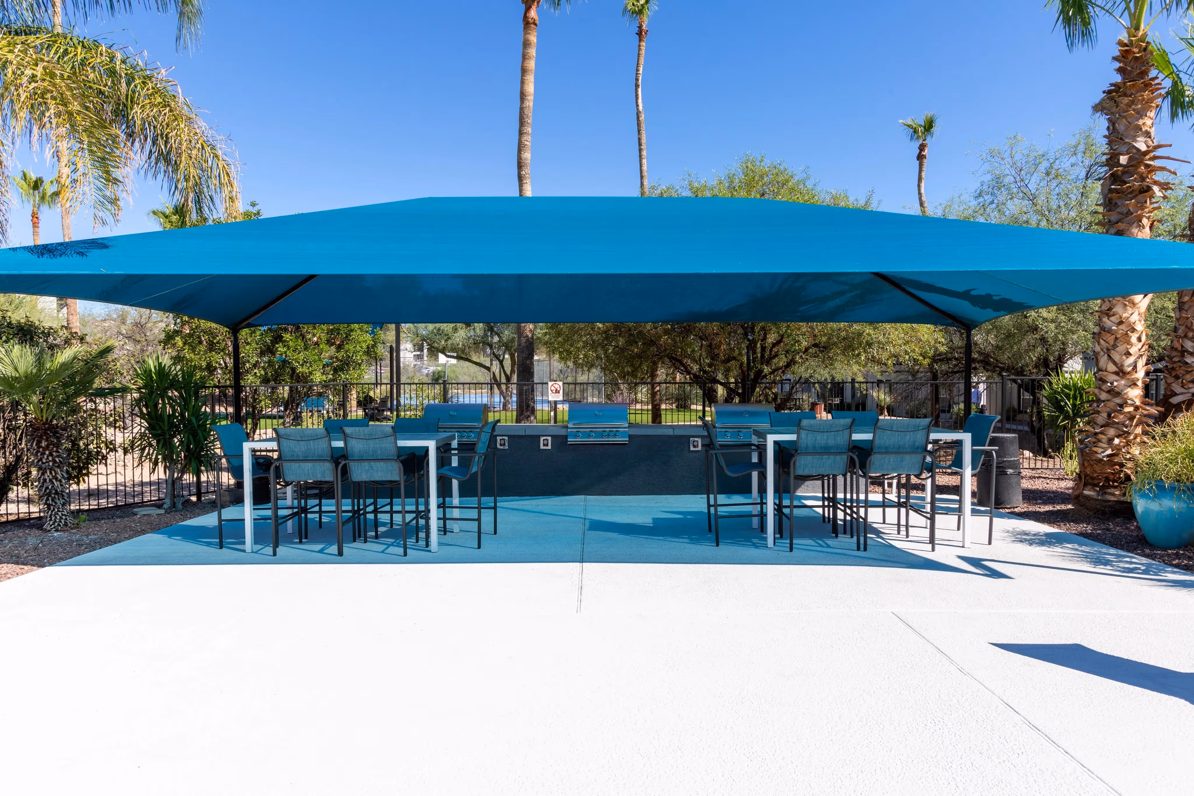 Outdoor grilling area with shaded dining tables and palm trees, providing a social space at Ascension at Ironwood in Tucson, AZ.