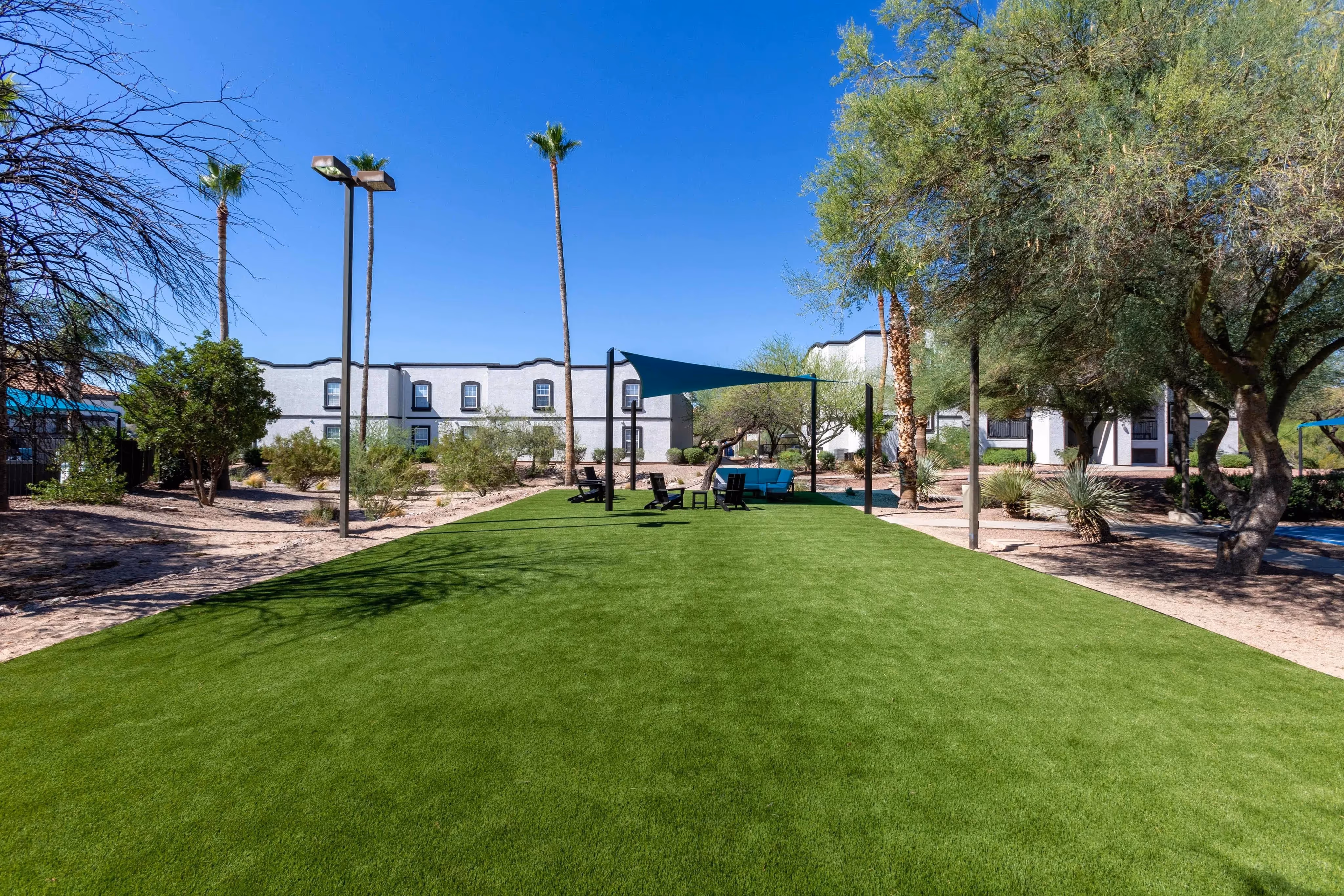 A large grassy lawn with shaded seating, surrounded by desert landscaping and apartment buildings at Ascension at Ironwood in Tucson, AZ.