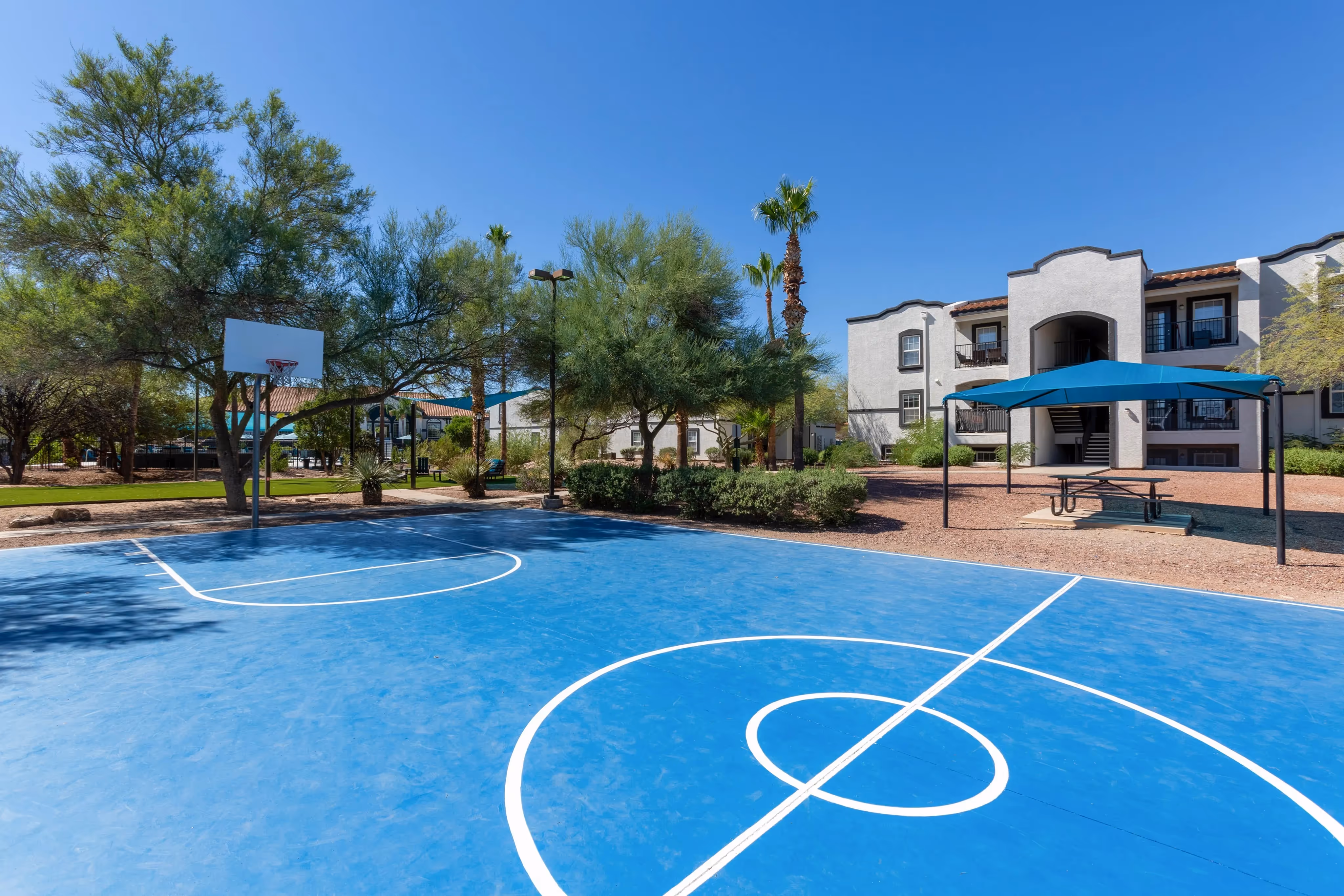 Outdoor basketball court with a blue surface and desert landscaping, offering a recreational amenity at Ascension at Ironwood in Tucson, AZ.