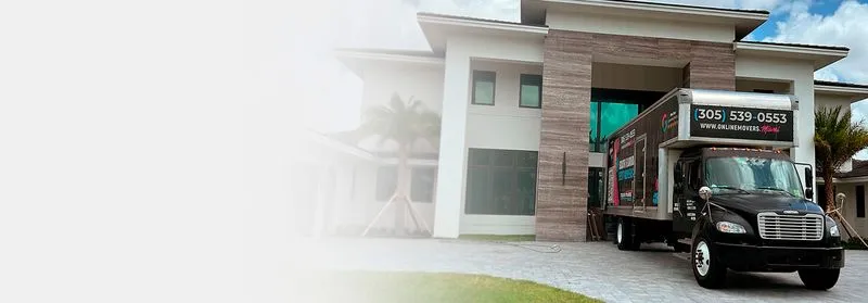 a house with a palm tree