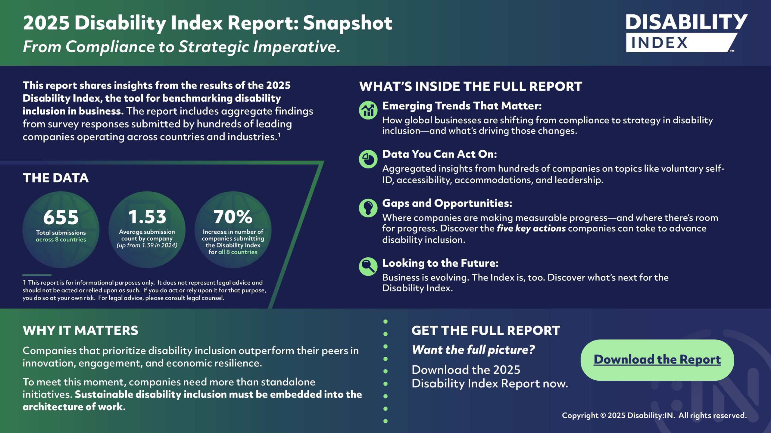 Download accessible PDF of Disability Index Report Teaser in download below.