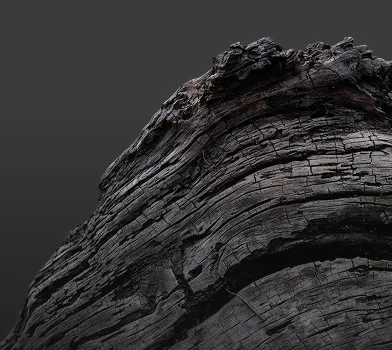 Zbliżenie na drewno i jego teksturę