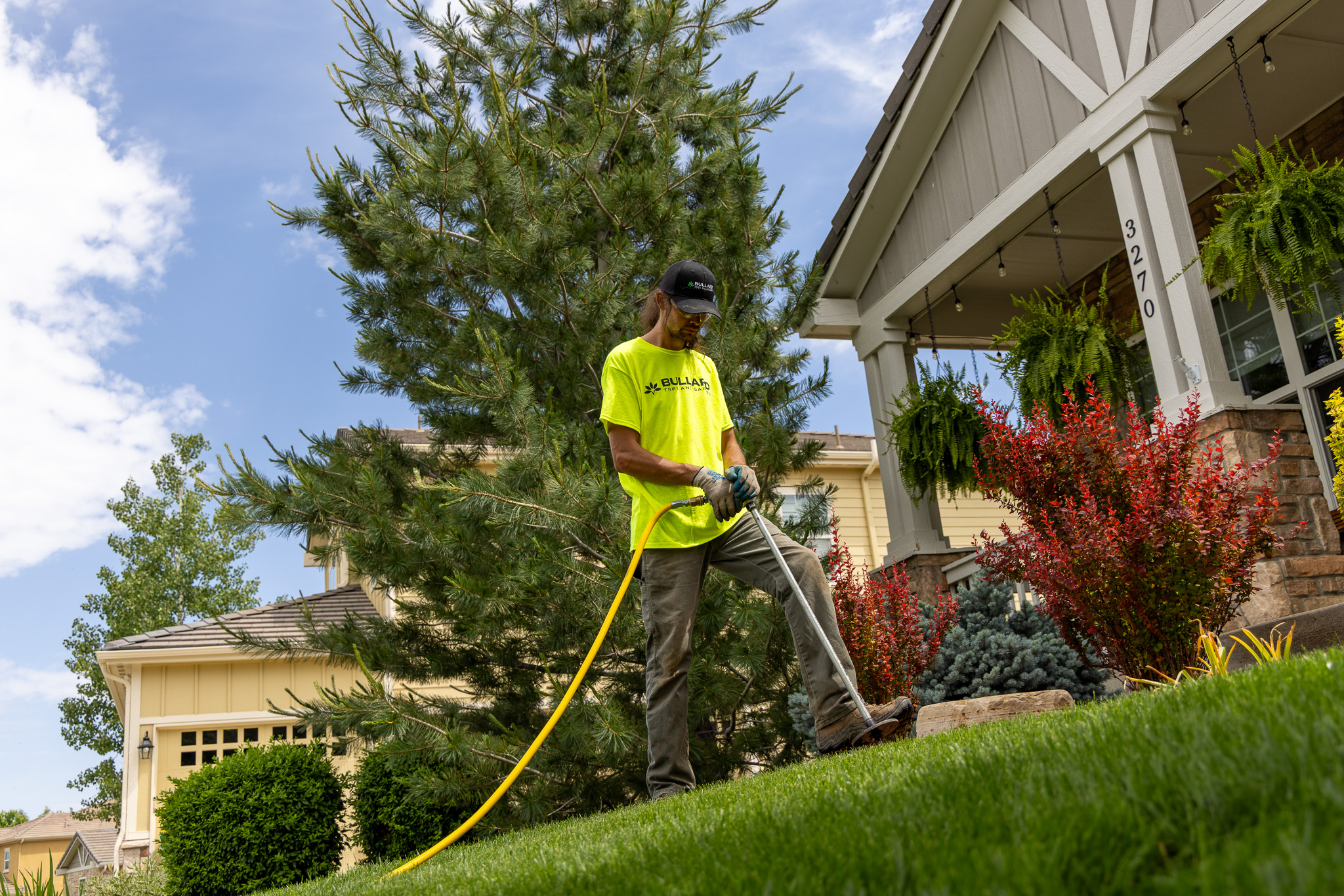 Revive Your Landscape with Tree Service in Boulder, Colorado