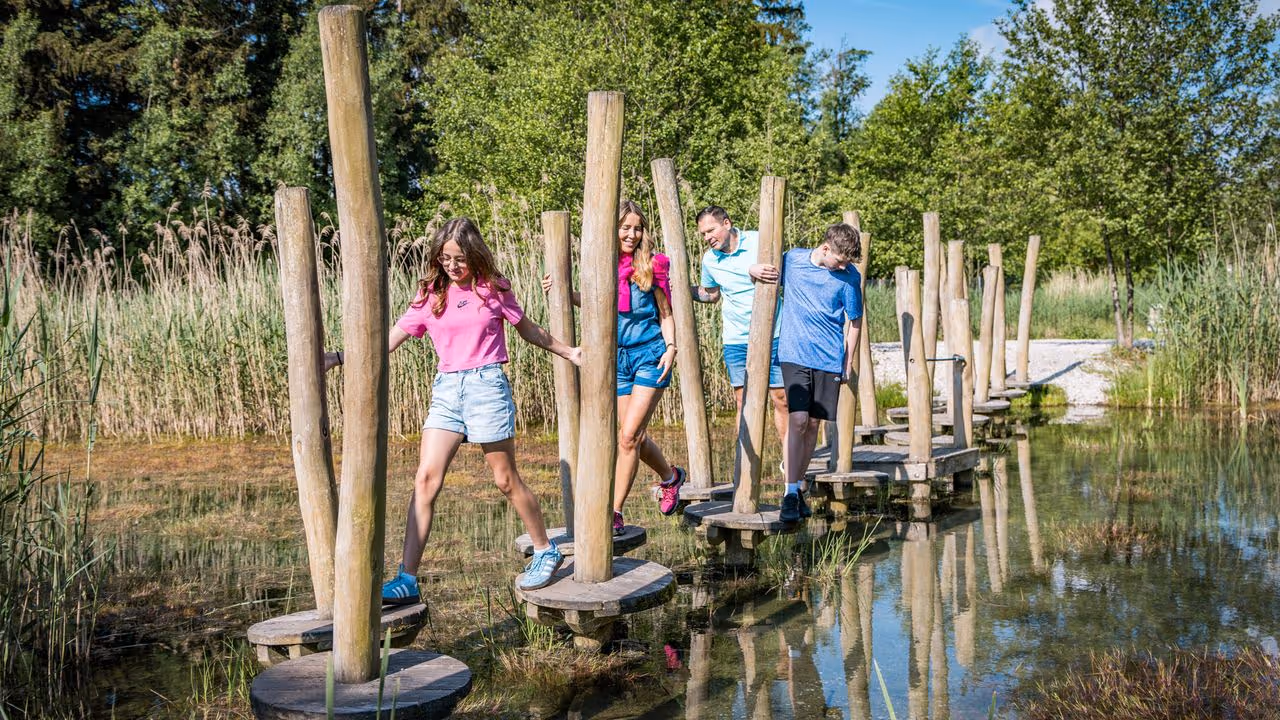 Stiddle Analytics Dashboard