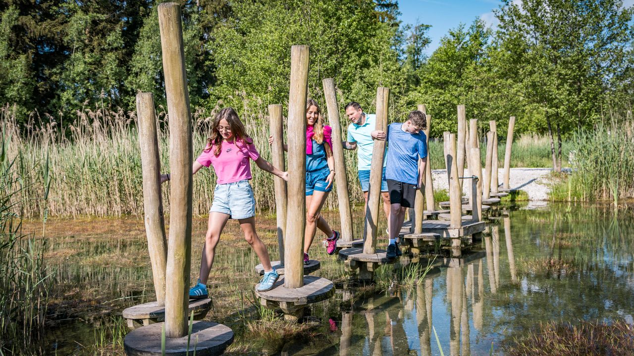 Stiddle Analytics Dashboard