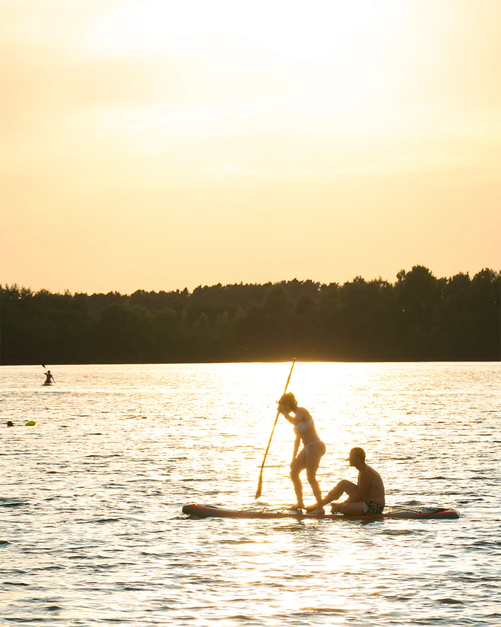 Stiddle Analytics Dashboard