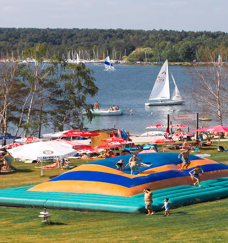 Stiddle Analytics Dashboard