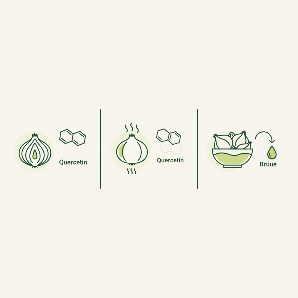 Minimalistische 2D-Vektor-Infografik zu Zwiebeln entzündungshemmend: roh vs. gekocht und Zwiebelhäute zur Brühe, farben #dbdbcf, #a5cd8d, #21431f