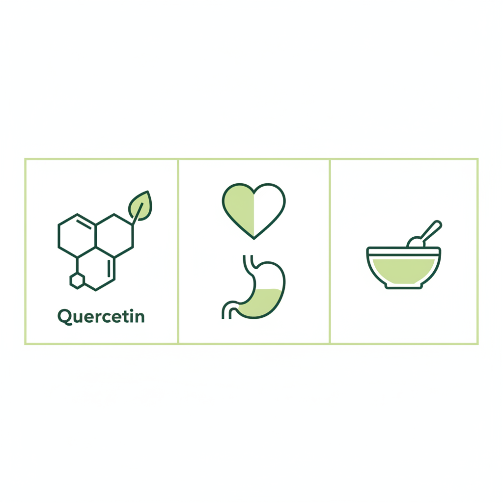 Minimalistische 2D-Infografik zu rohe Zwiebeln gesund: drei Spalten mit Vektor-Icons (Quercetin, Herz, Magen, Rezept) in Markenfarben.