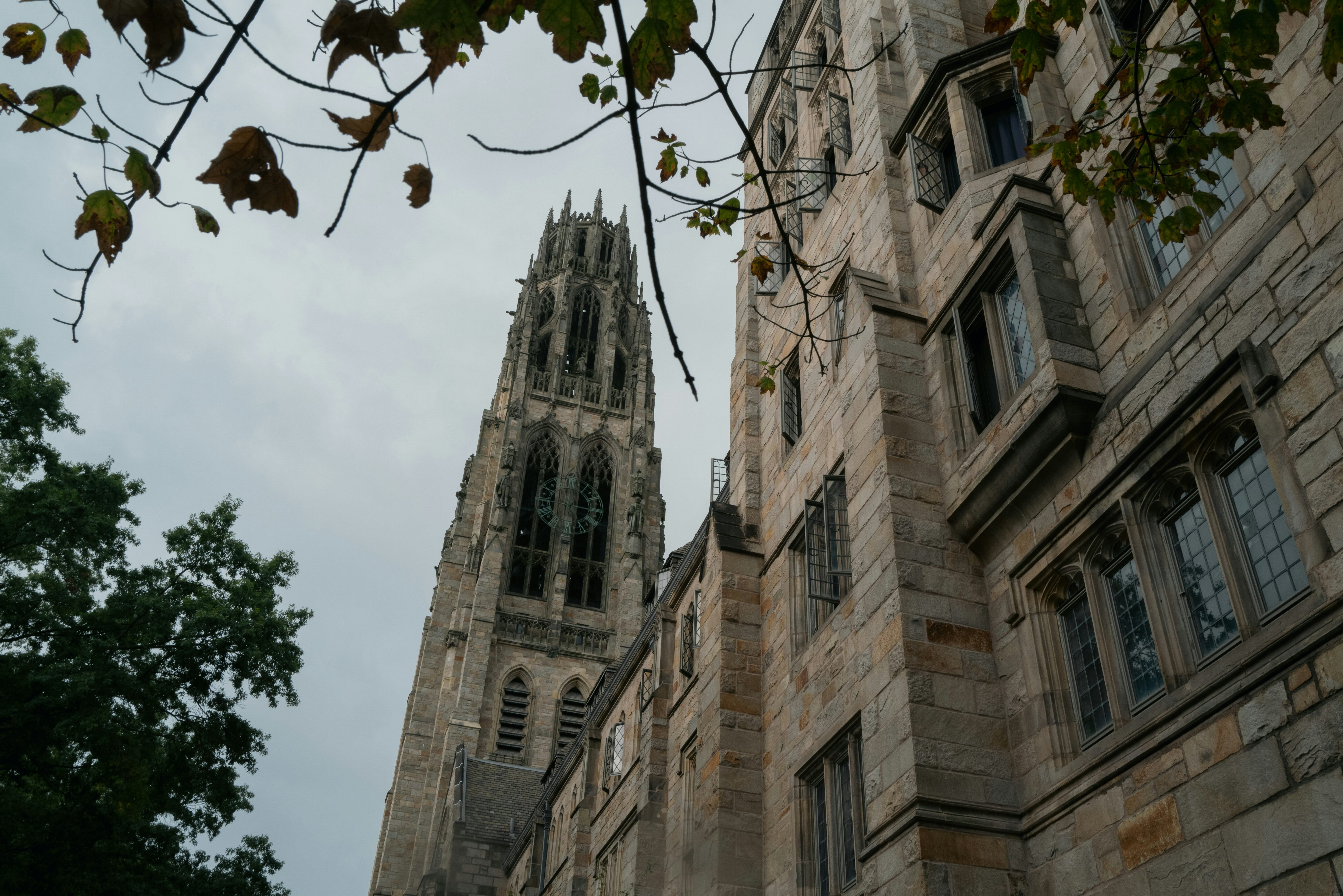 Echelon Scholars Cost and Financial Aid: What Tuition Includes
