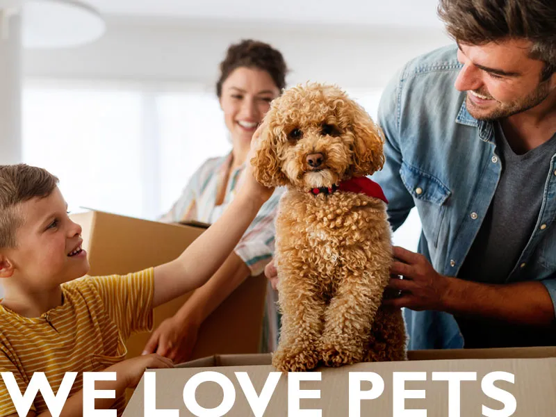 We love pets photo of family with dog