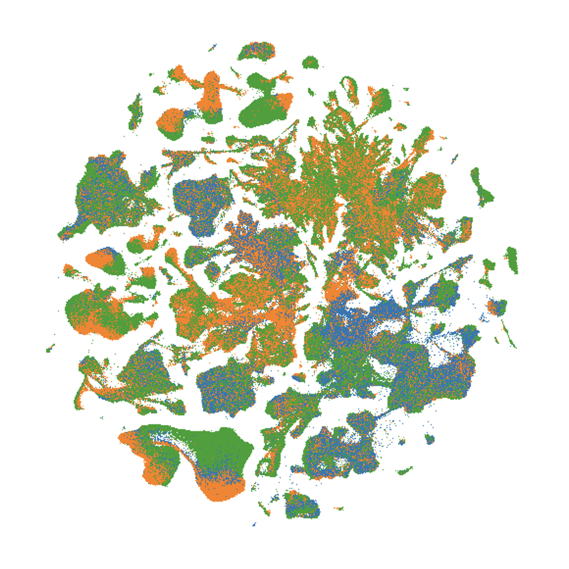 UMAP whole mouse brain consensus dataset