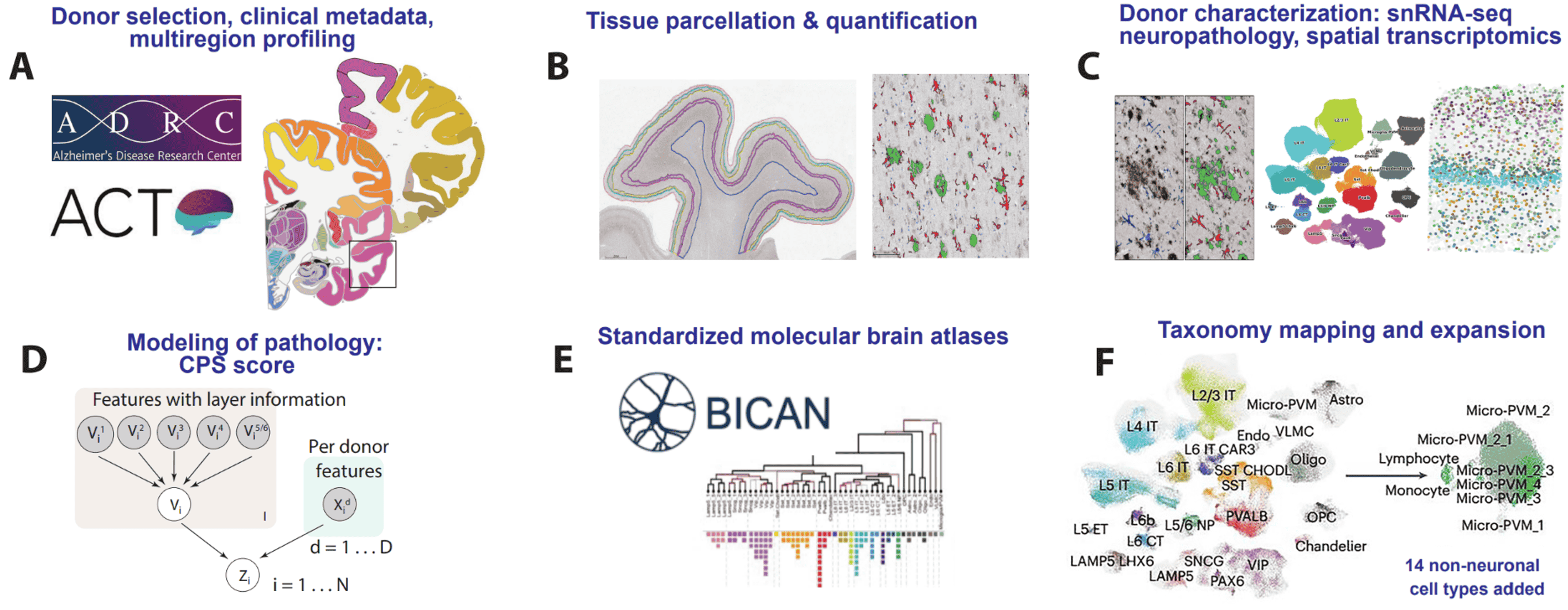 Nature aging paper hero image