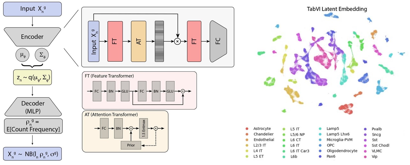 TabVI model overview