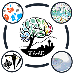 Icon for SEA-AD "Our Resources"
