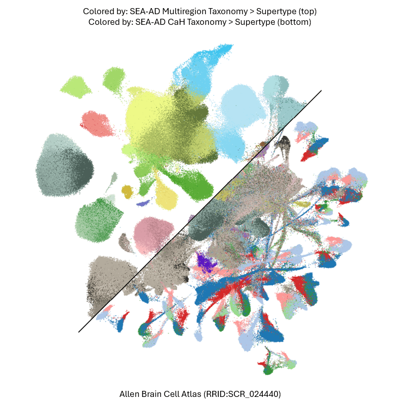 multiregion and caudate merged UMAP image