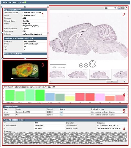 Trans_Experimental_Detail