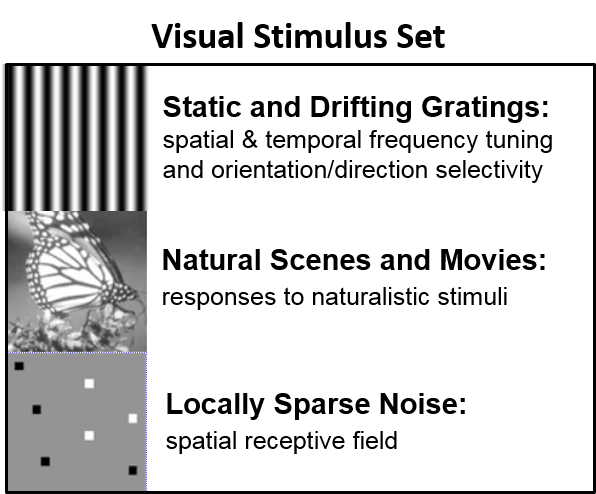 VisualStimuli