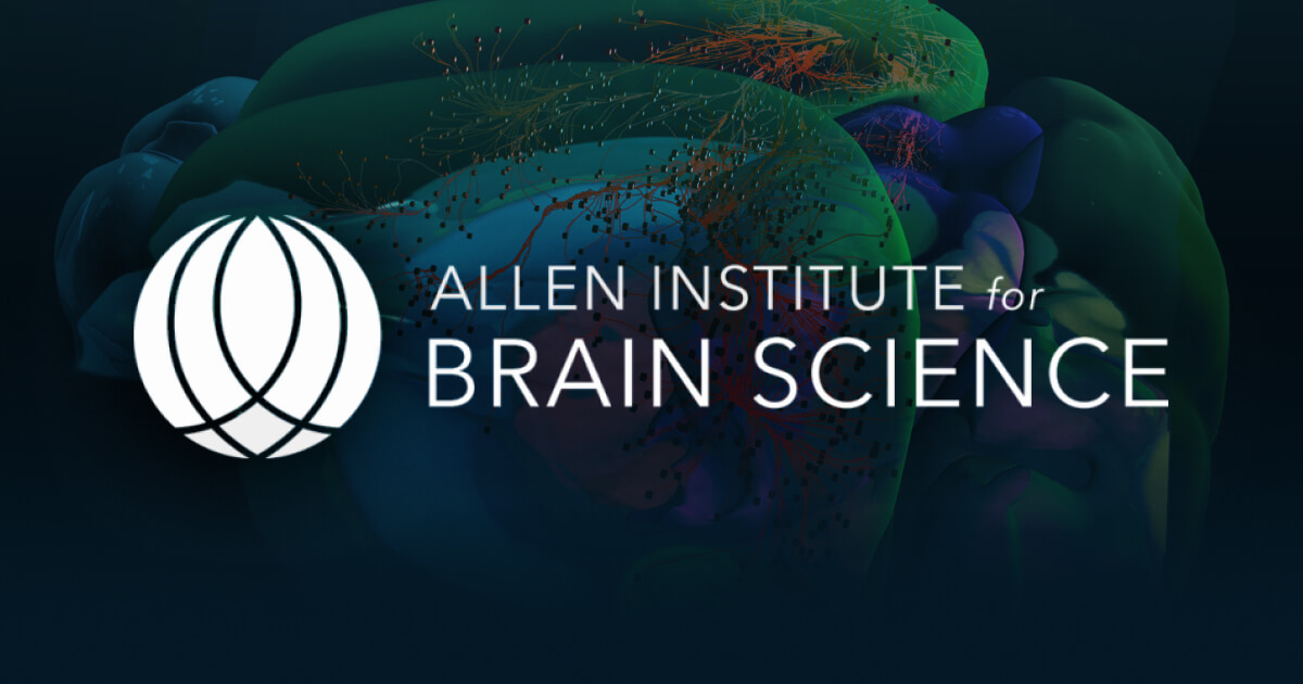 API for Allen Developing Mouse Brain Atlas