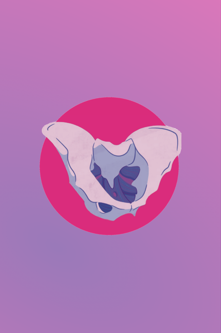 Pelvic floor illustration