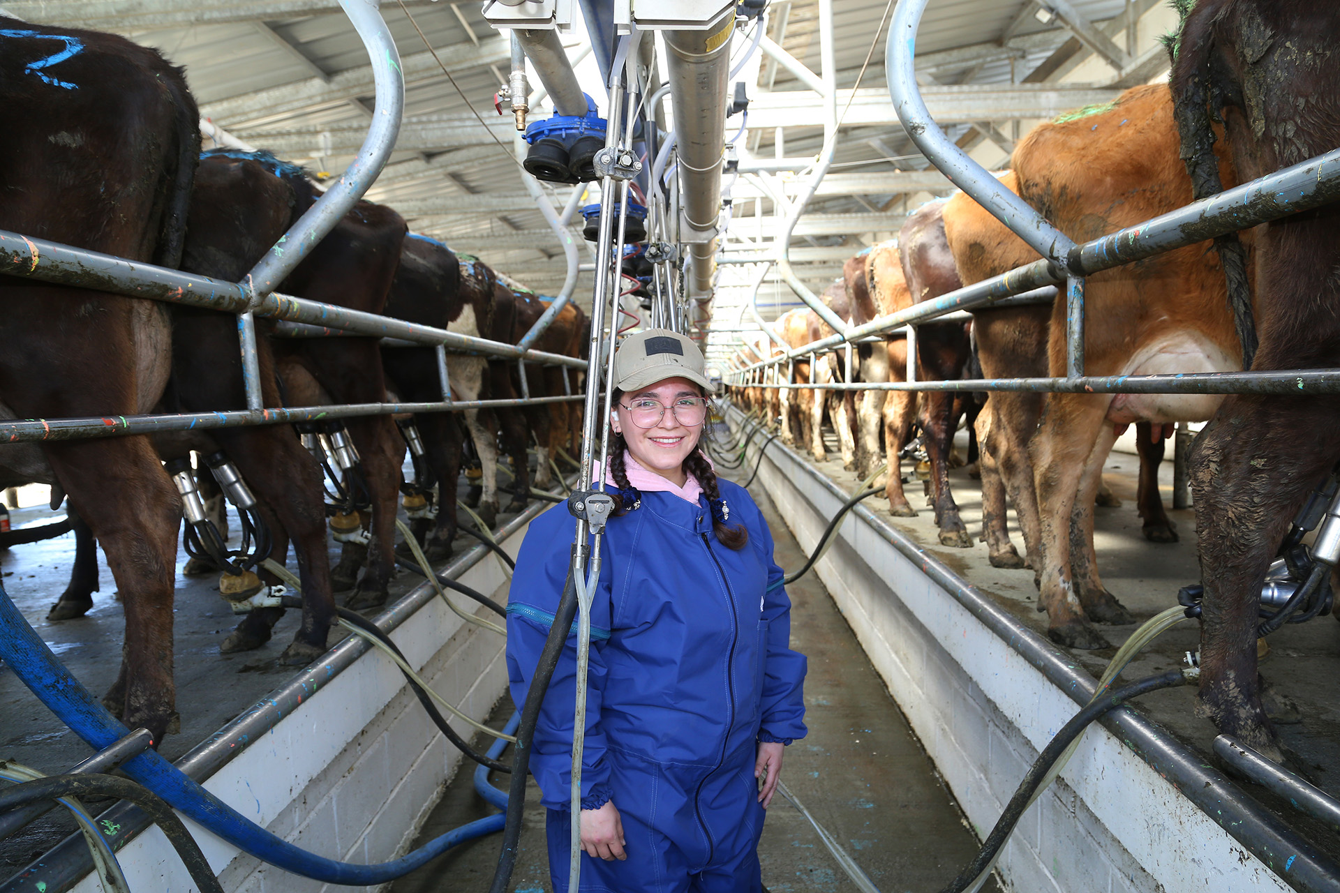 Nuestro Propósito - Manuka