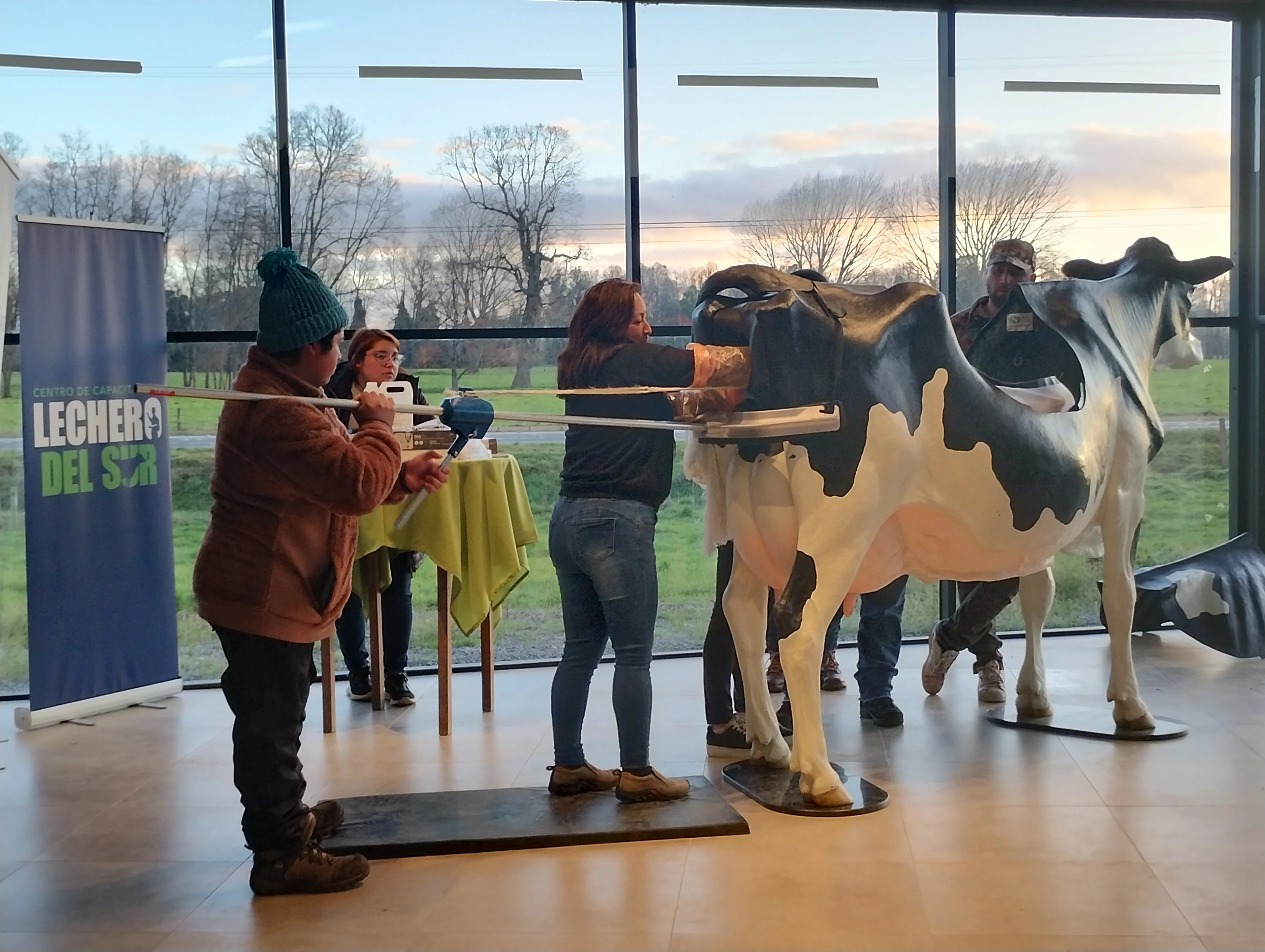 Fundación Tres Hojas - Imagen 4