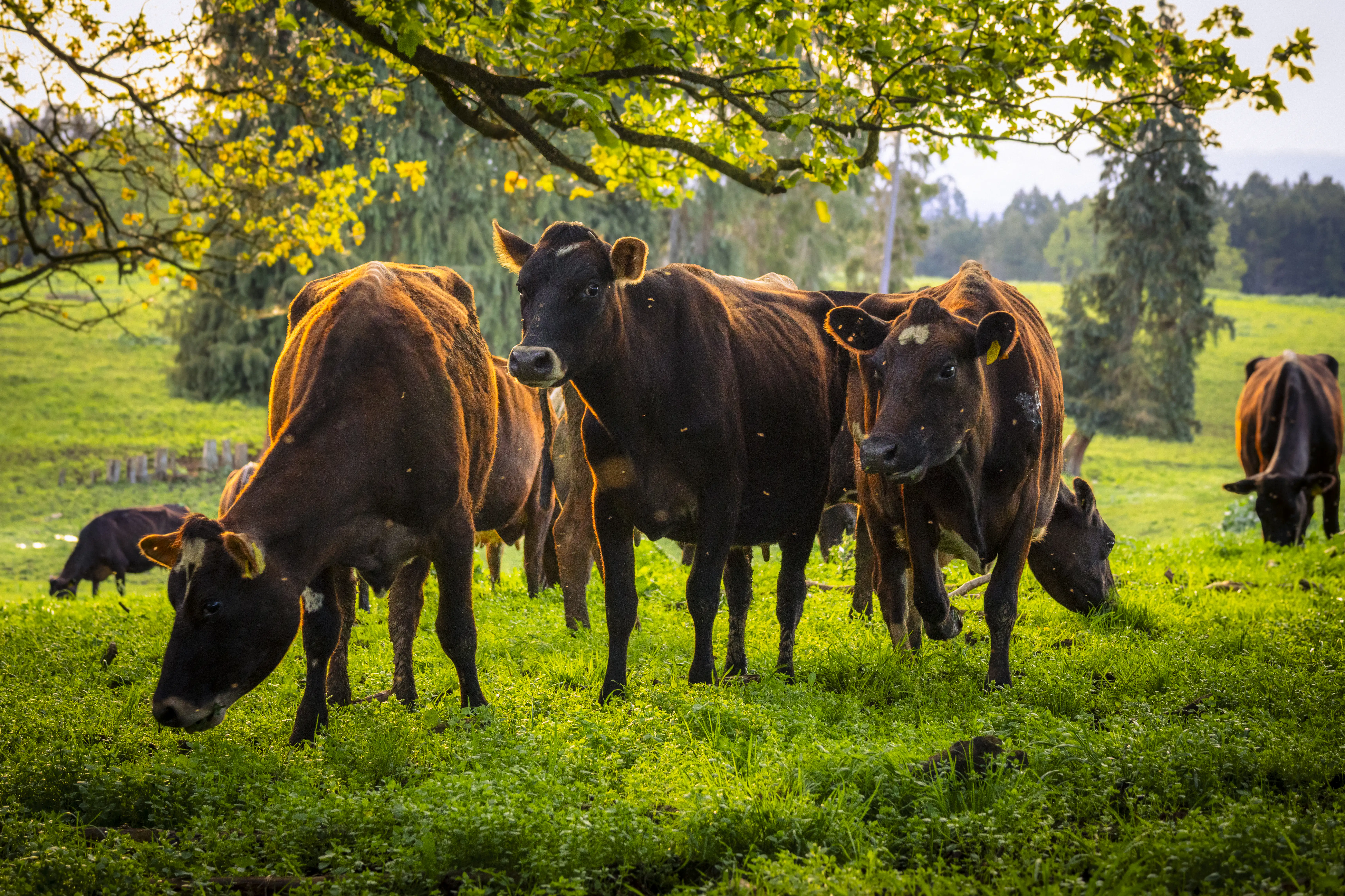 Sustentabilidad - Mano con tierra y brote