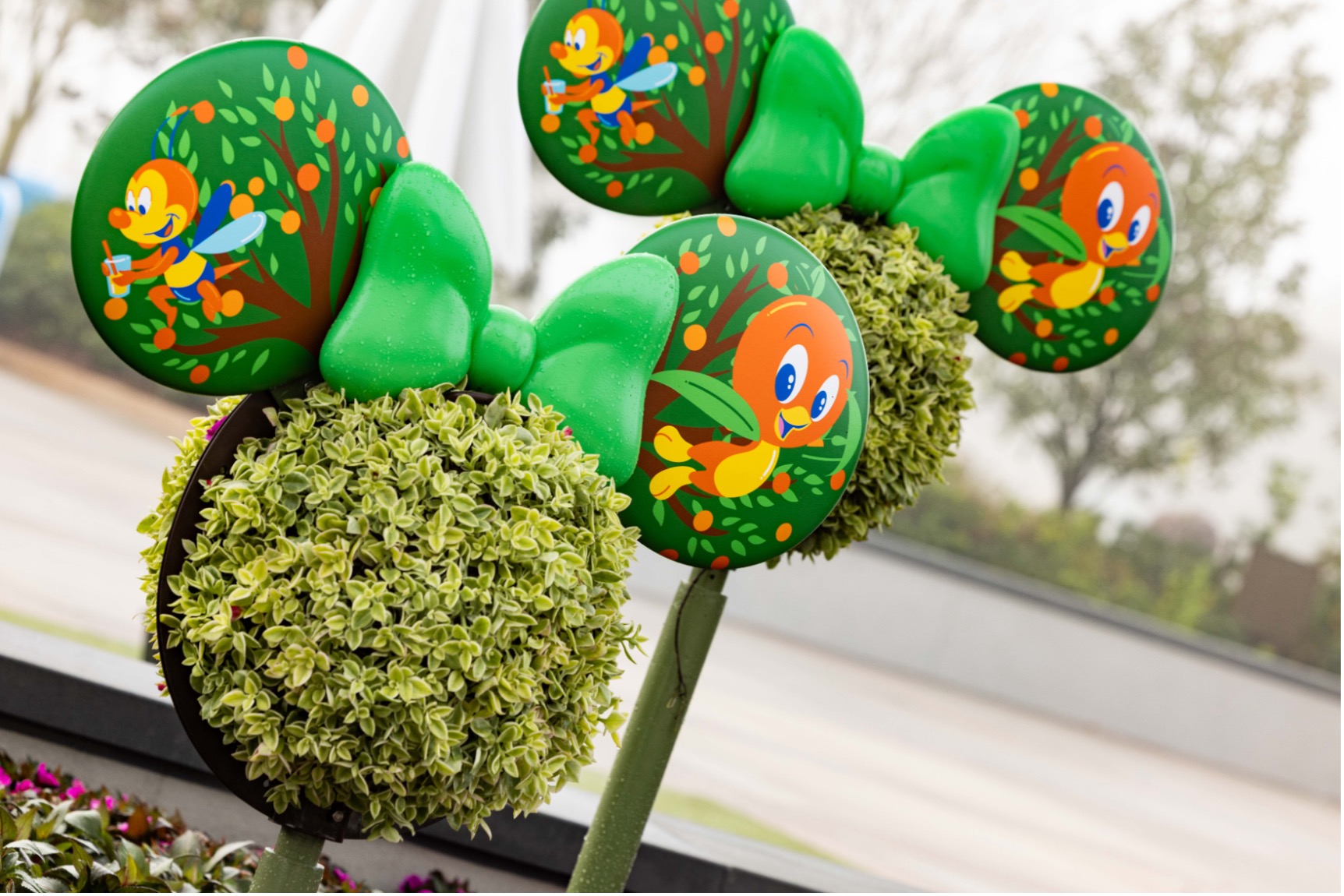 Three mouse-ear topiaries with green foliage spheres, green bows and circular ears showing a cartoon orange-winged character among leaves.