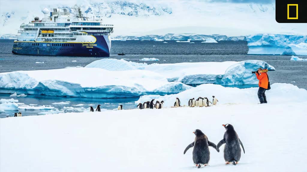 Cruise ship anchored near ice floes while a person in an orange jacket photographs a group of penguins on a snowy shoreline