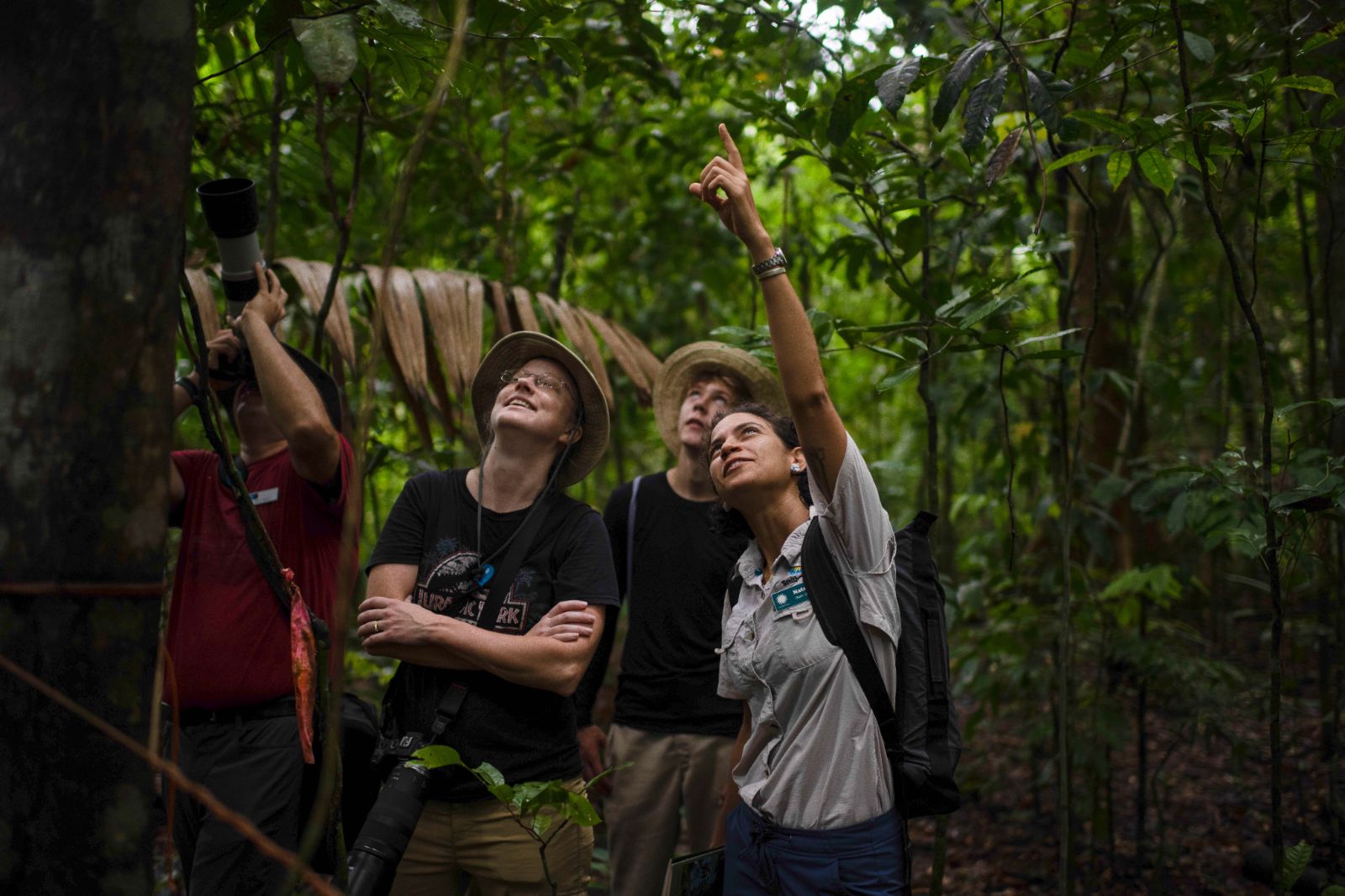 Travelers in a dense rainforest look up as one person points toward the canopy, while another holds a camera.