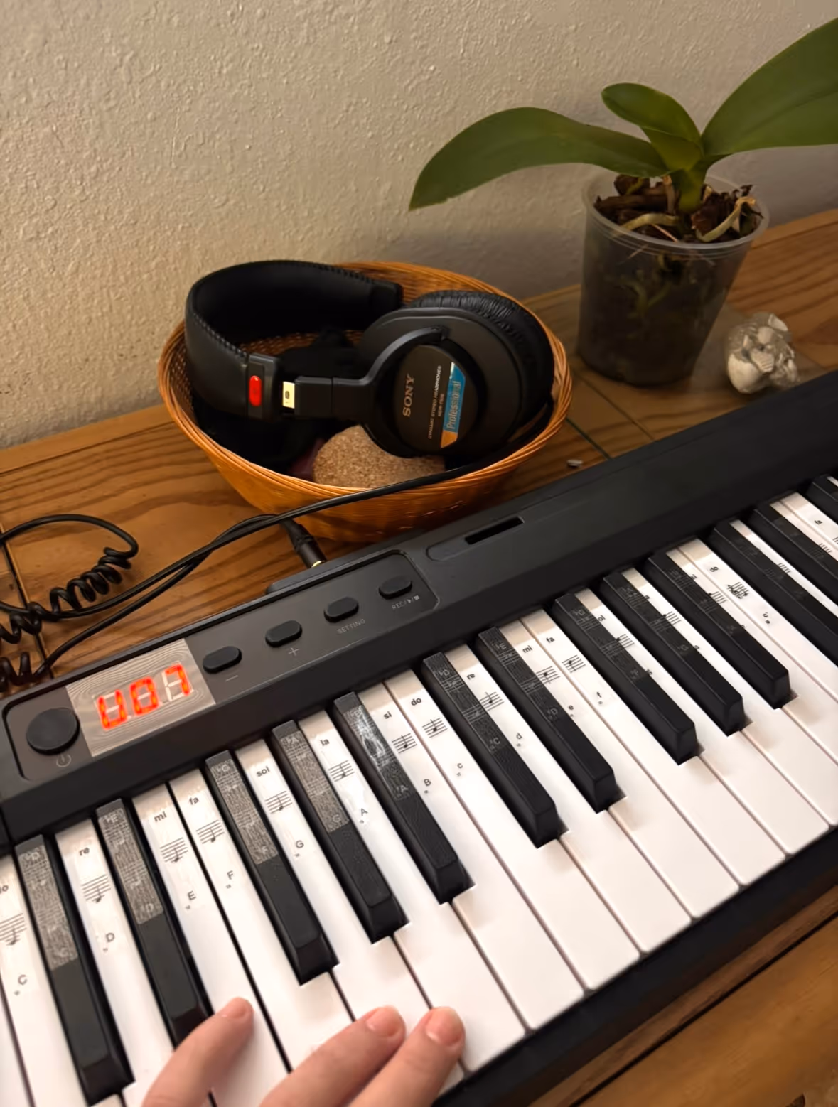 Close-up of piano keys with headphones on the stand and a small plant beside