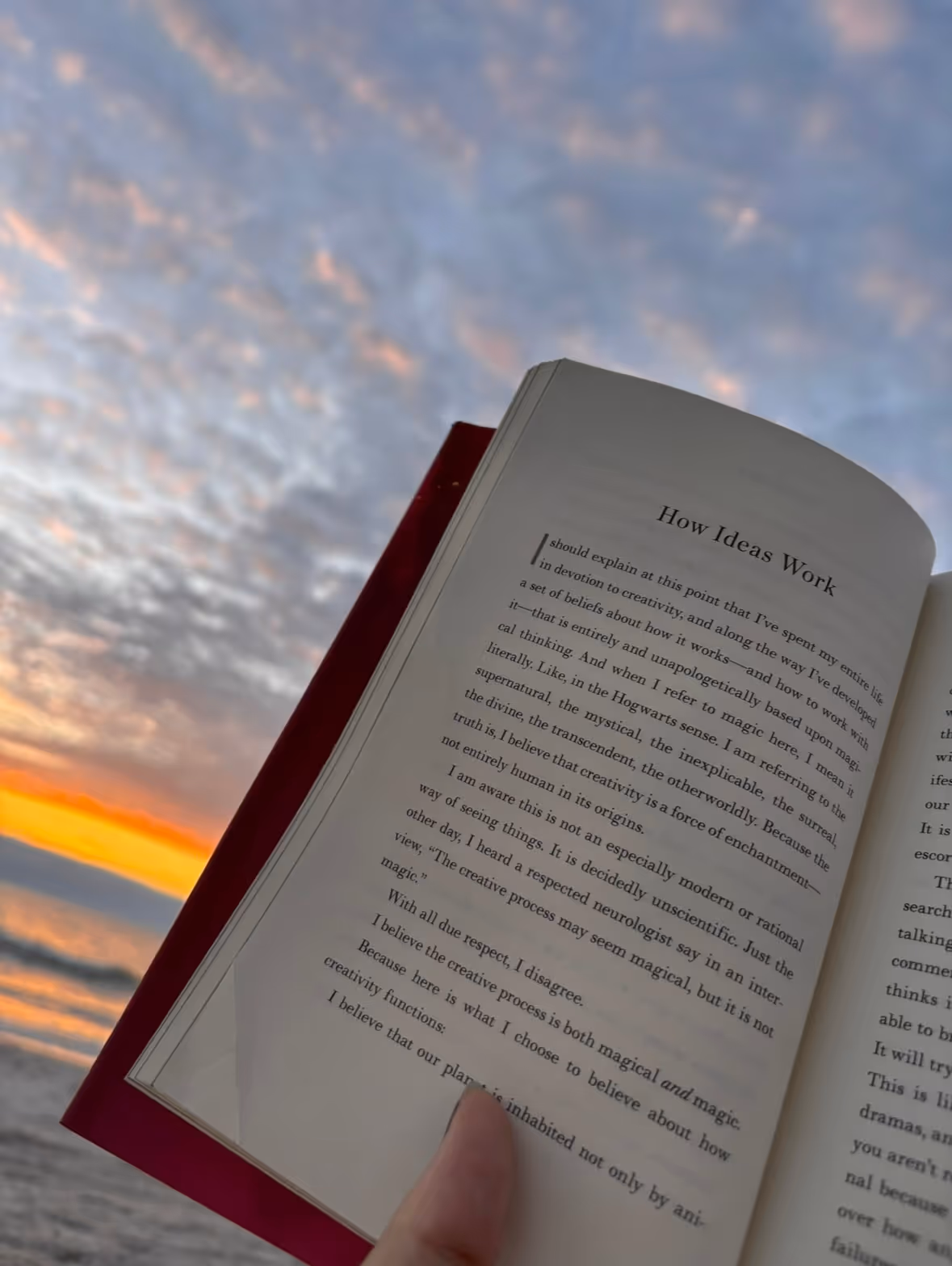 Open book held up at the beach against a pastel evening sky with scattered clouds
