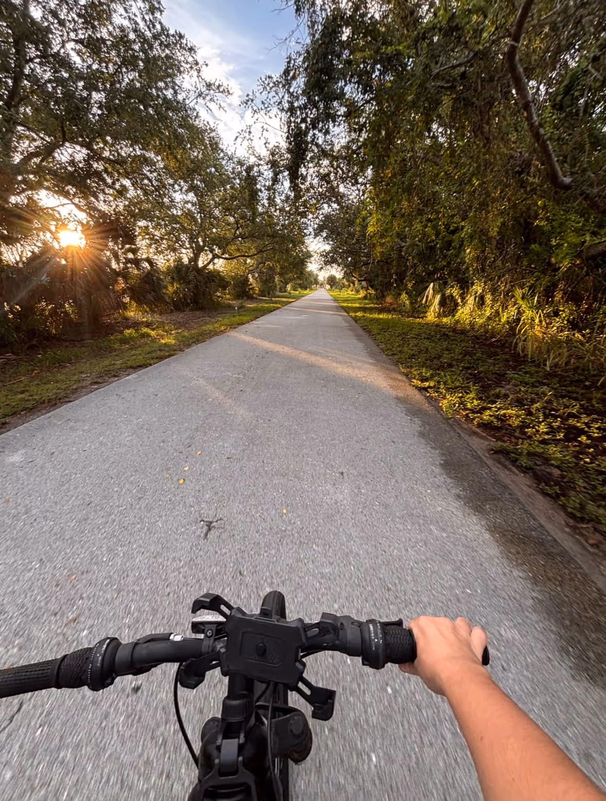 POV hands on bicycle riding along a shaded, tree-lined trail.