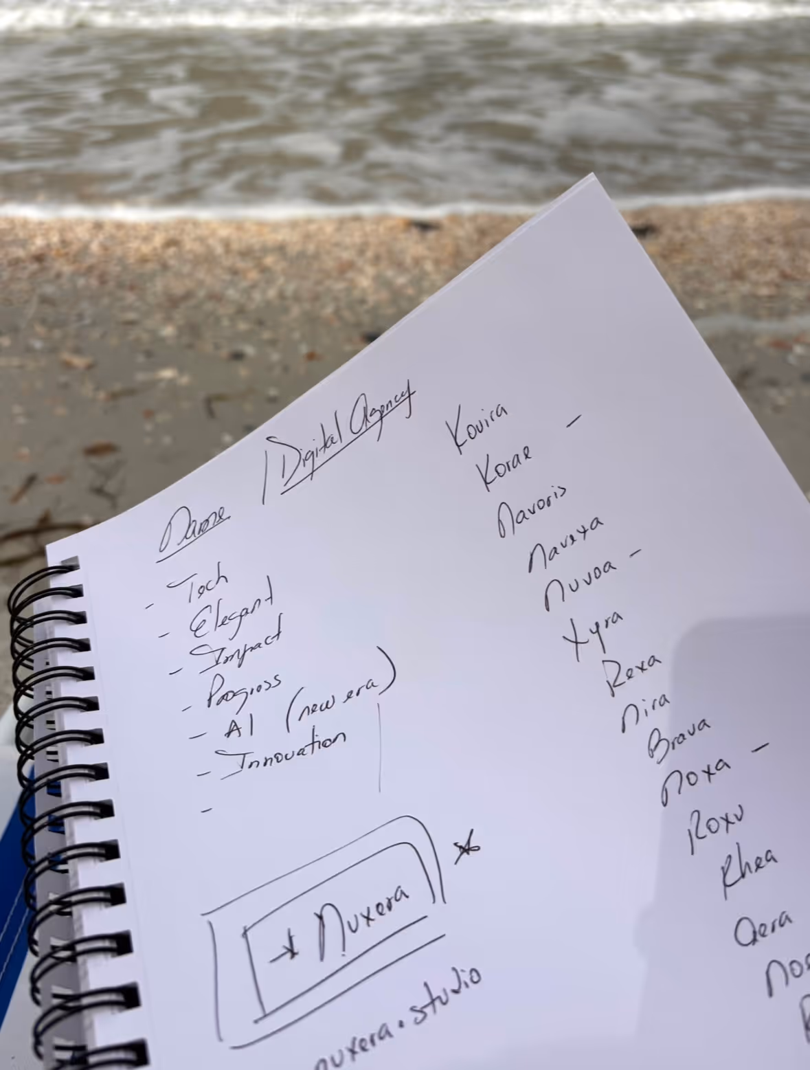 Open notebook with naming attributes and options; “Nuxera” highlighted as the final choice