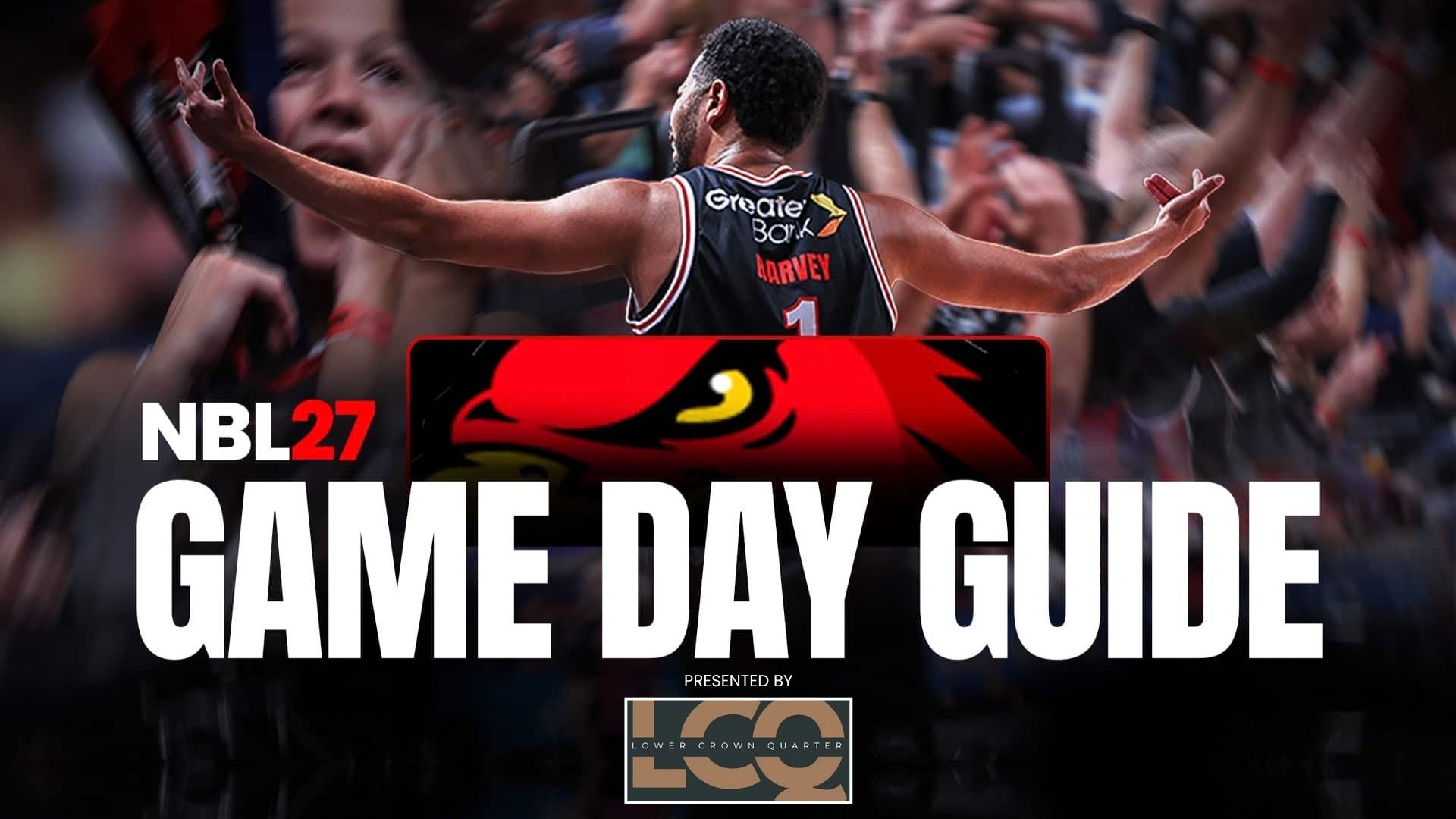 View the Game Day Guide
