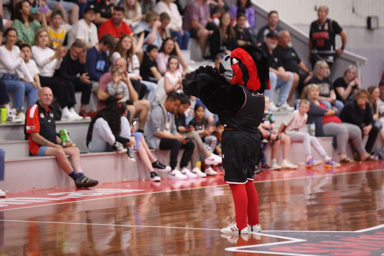 2023 09 03 Hawks Vs Breakers Snakepit 0t3a8308 Joelarmstrong47 (1)